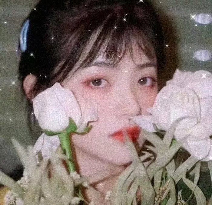单身骑士
